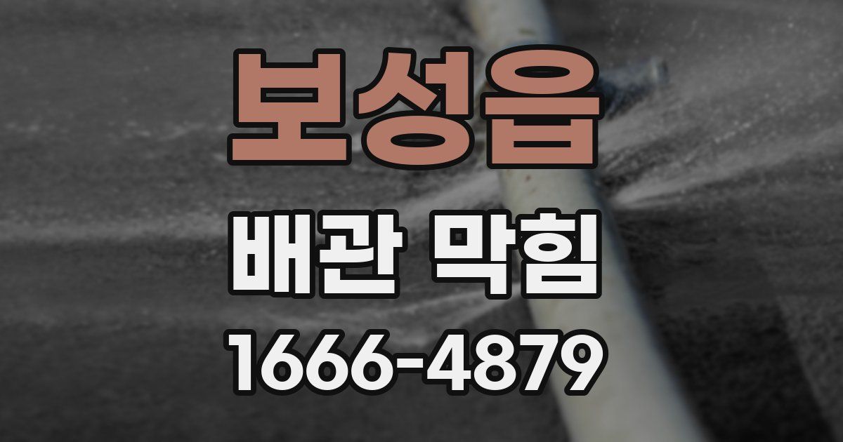 보성읍 배관 막힘