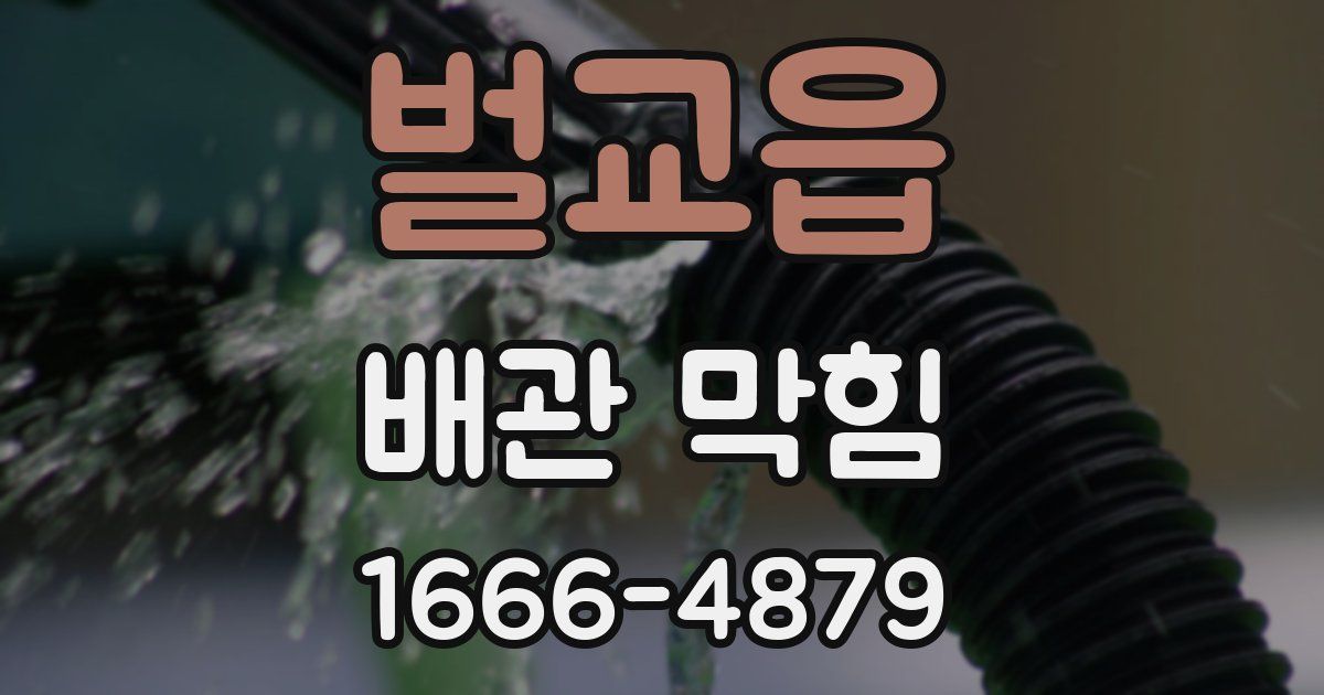 벌교읍 배관 막힘