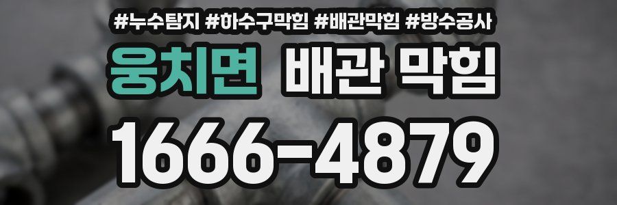 웅치면 배관 막힘