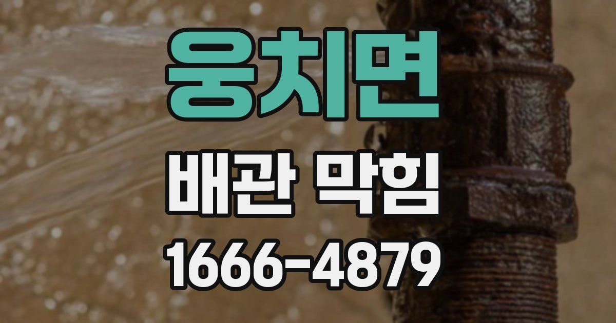 웅치면 배관 막힘