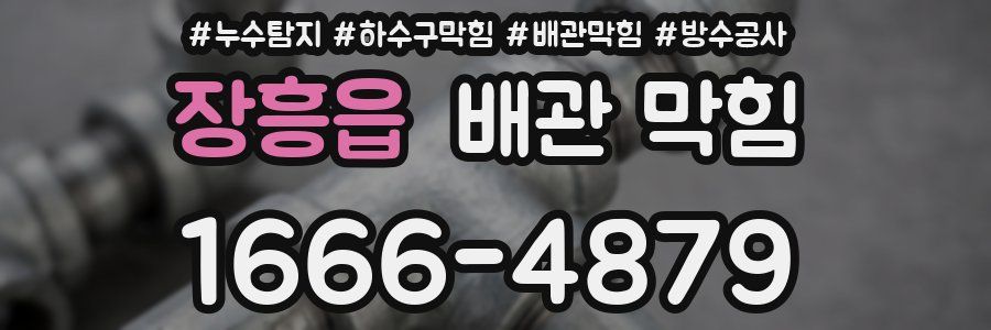 장흥읍 배관 막힘