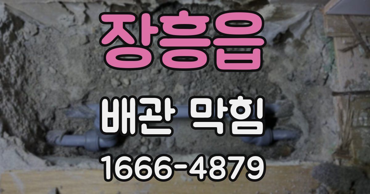 장흥읍 배관 막힘