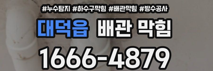 대덕읍 배관 막힘
