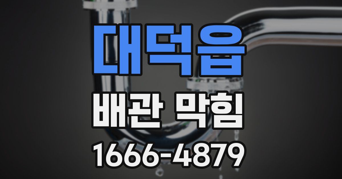 대덕읍 배관 막힘