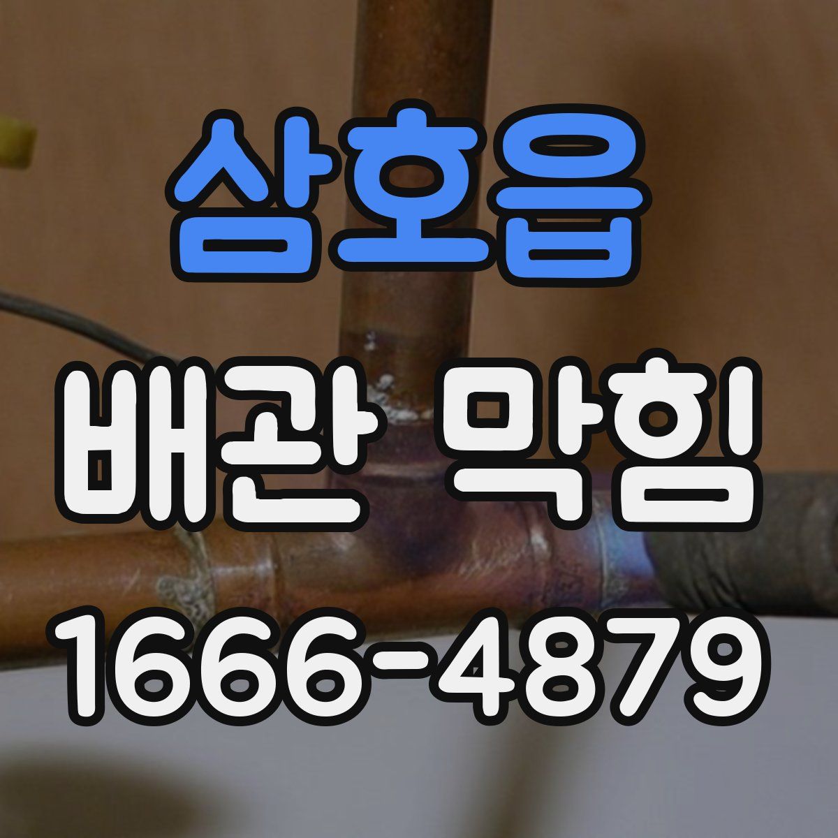 삼호읍 배관 막힘
