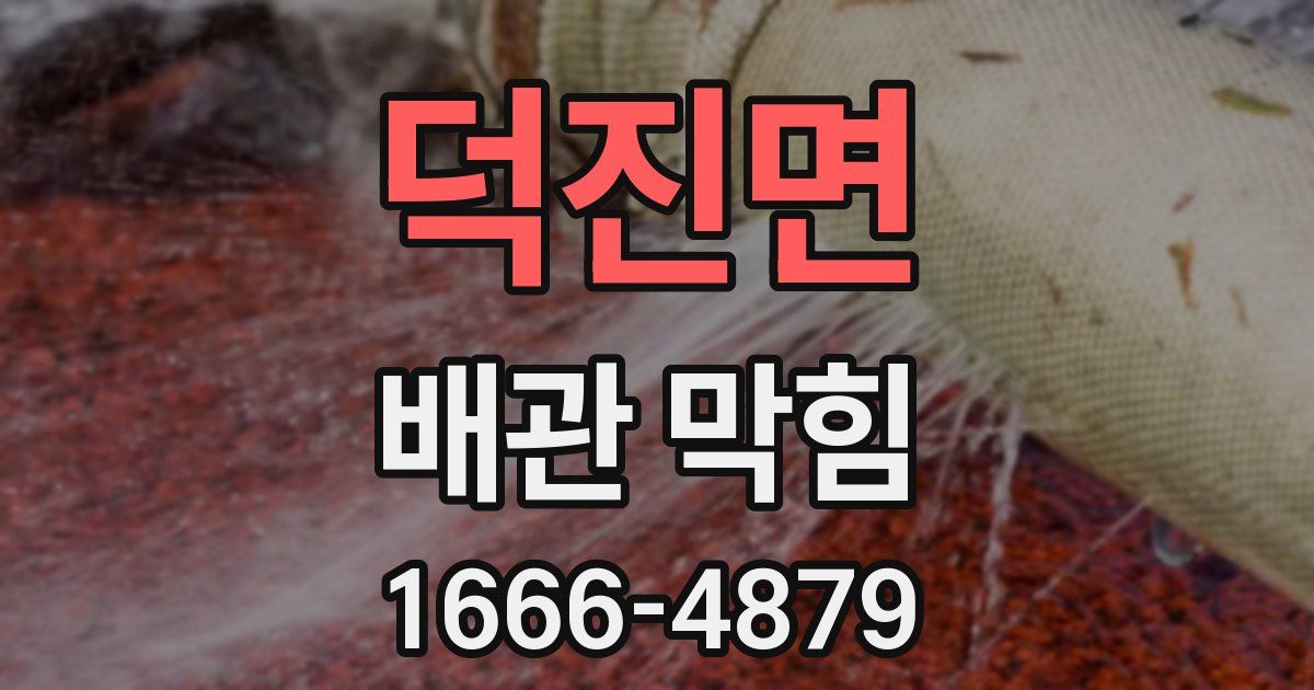 덕진면 배관 막힘