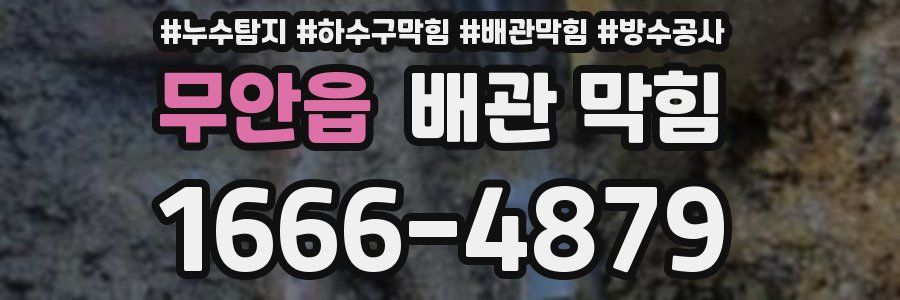 무안읍 배관 막힘