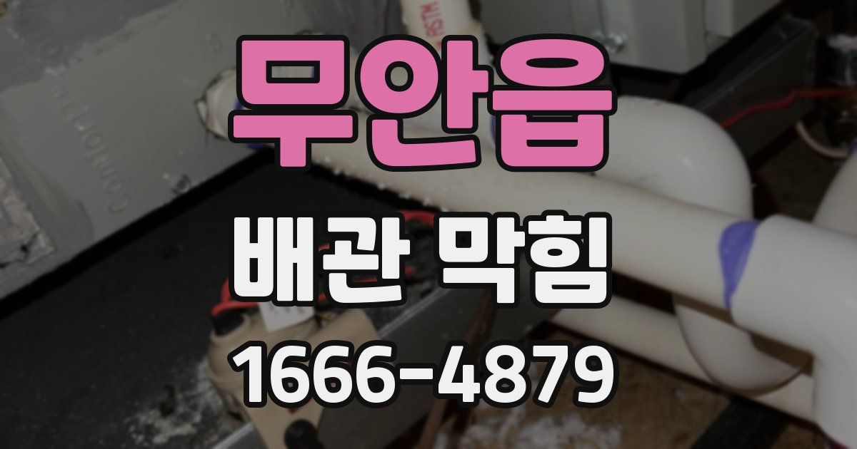 무안읍 배관 막힘