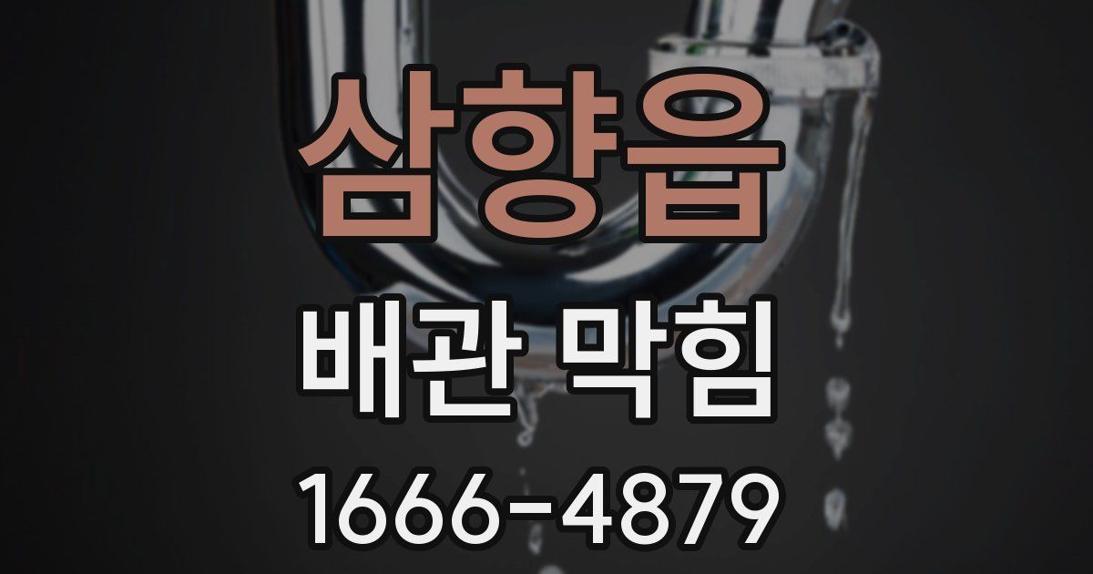 삼향읍 배관 막힘