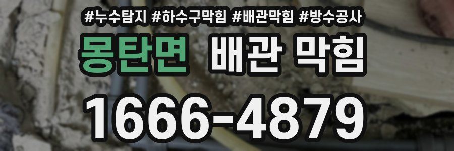 몽탄면 배관 막힘