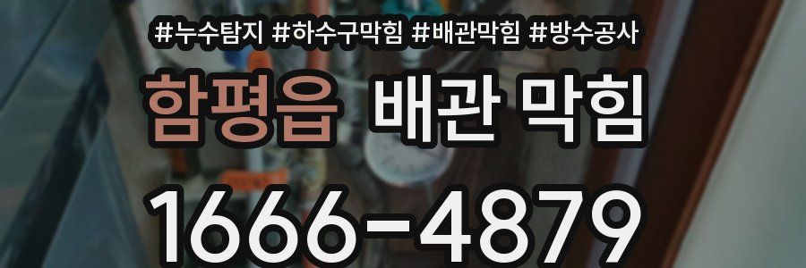 함평읍 배관 막힘