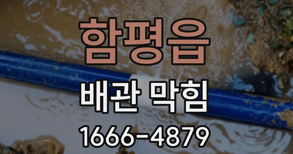 함평읍 배관 막힘