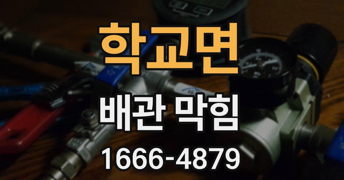 학교면 배관 막힘