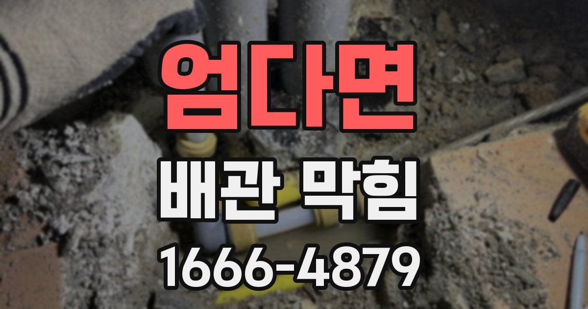 엄다면 배관 막힘