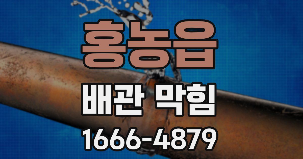 홍농읍 배관 막힘