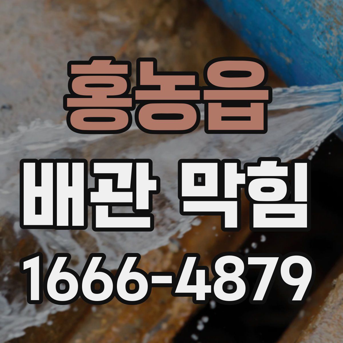 홍농읍 배관 막힘