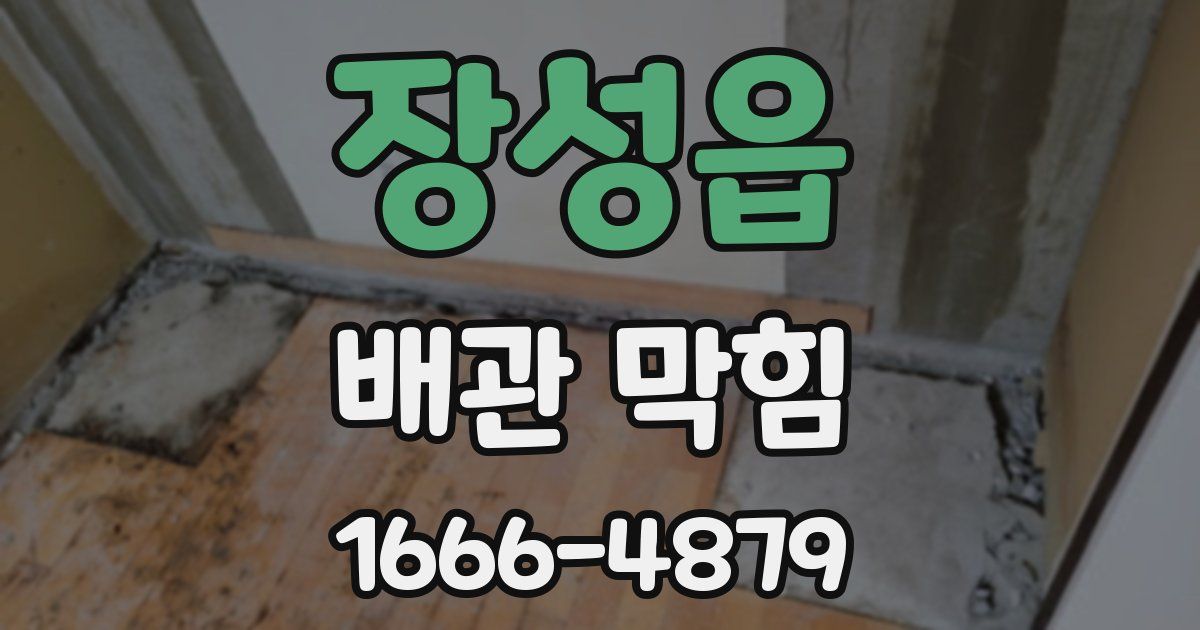 장성읍 배관 막힘