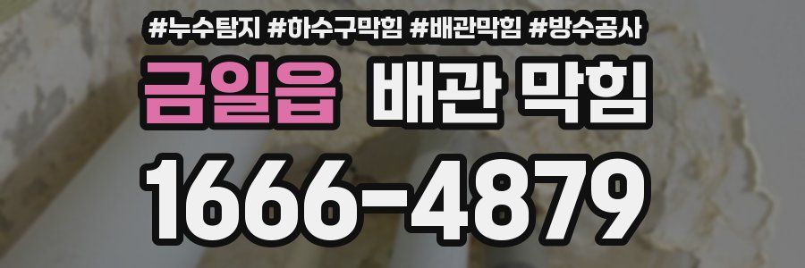 금일읍 배관 막힘