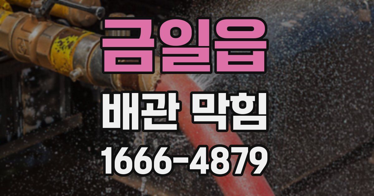 금일읍 배관 막힘