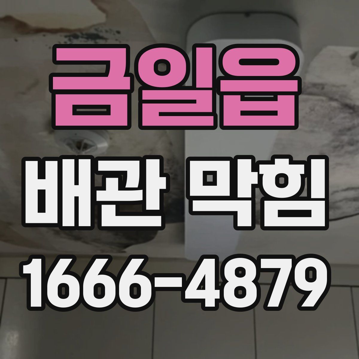금일읍 배관 막힘