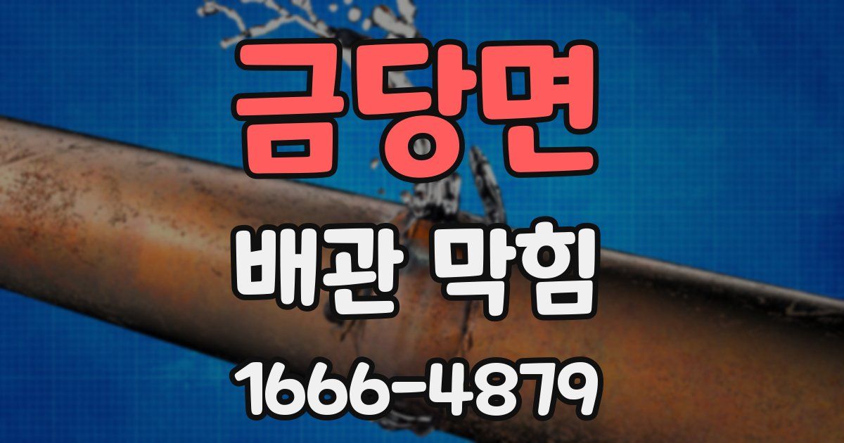금당면 배관 막힘
