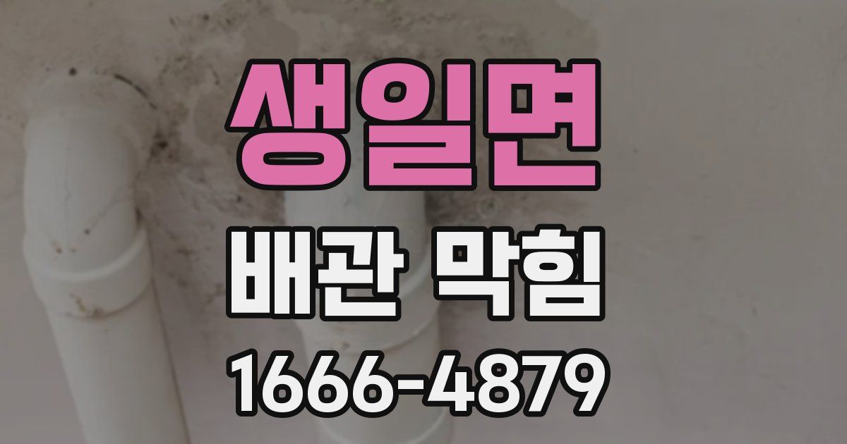 생일면 배관 막힘