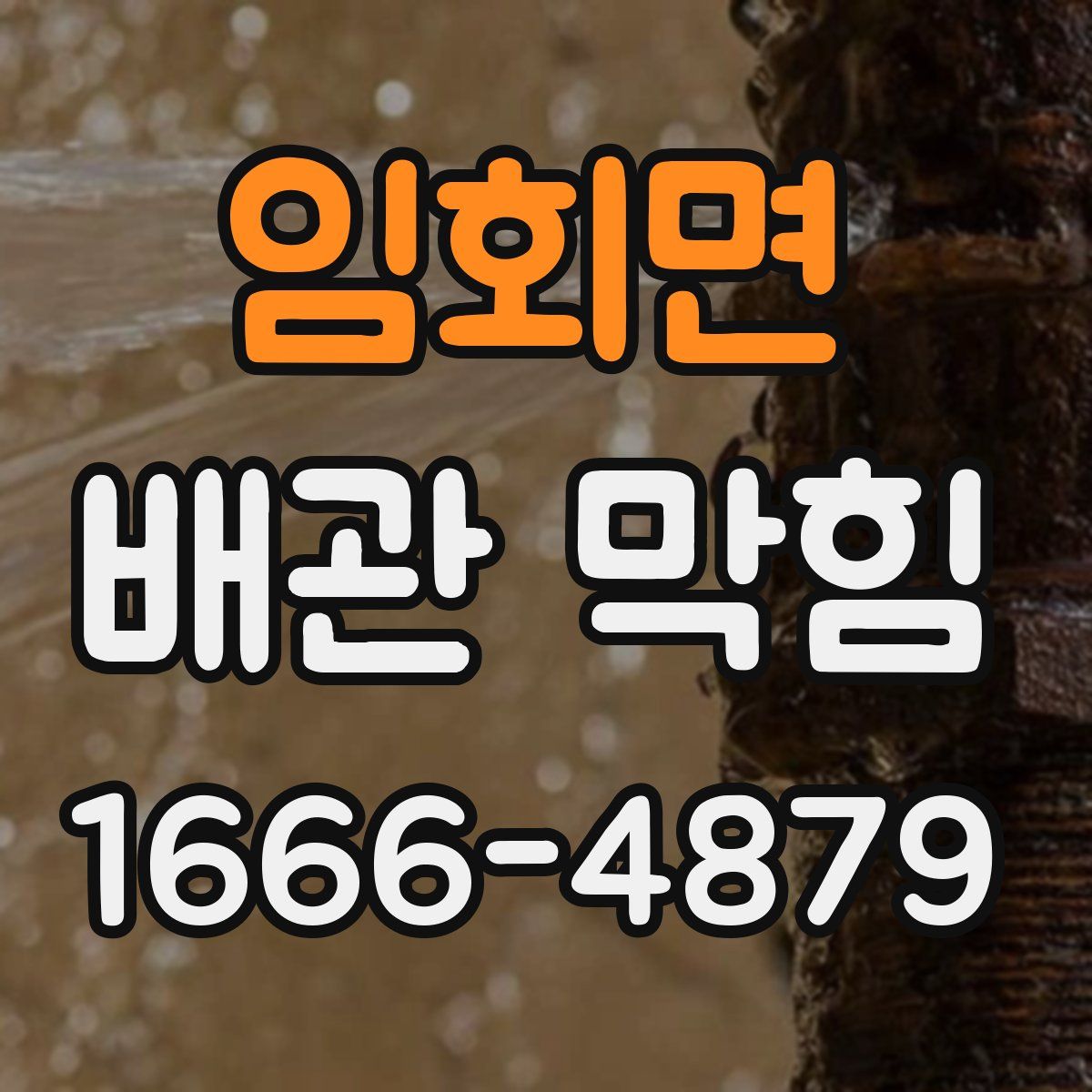 임회면 배관 막힘