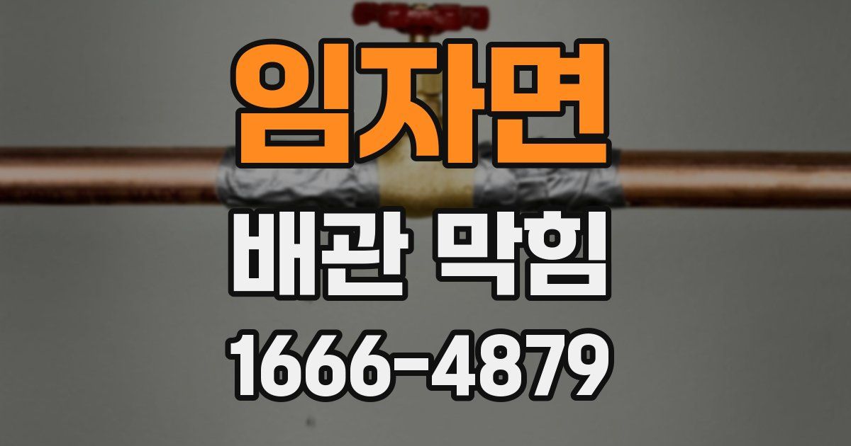 임자면 배관 막힘