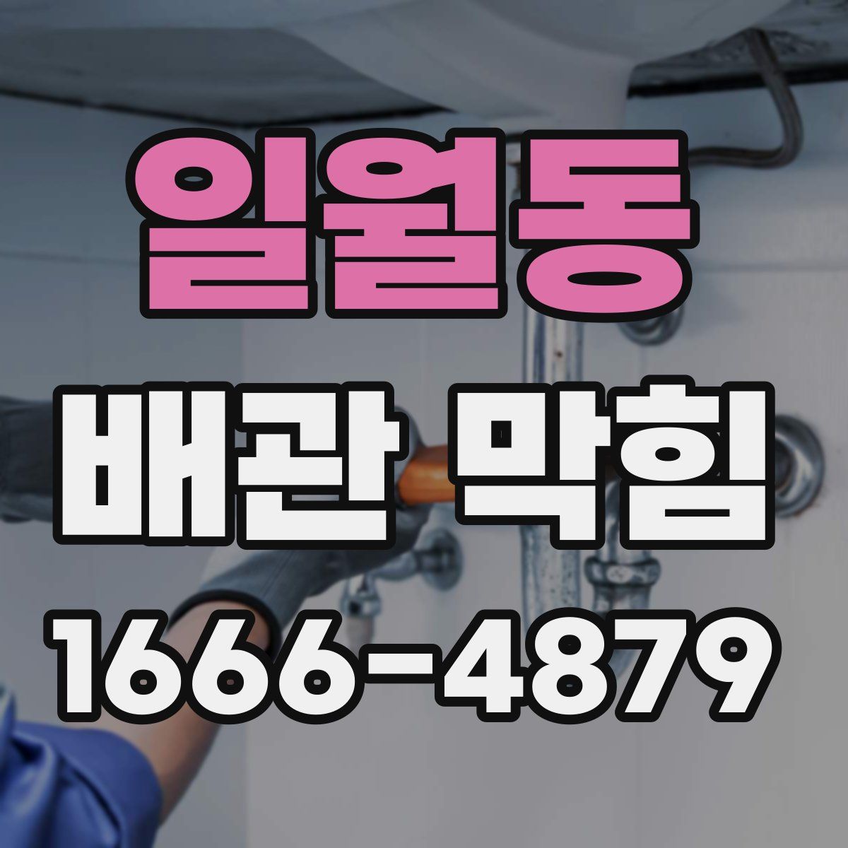 일월동 배관 막힘