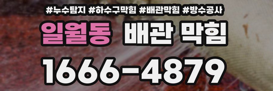 일월동 배관 막힘