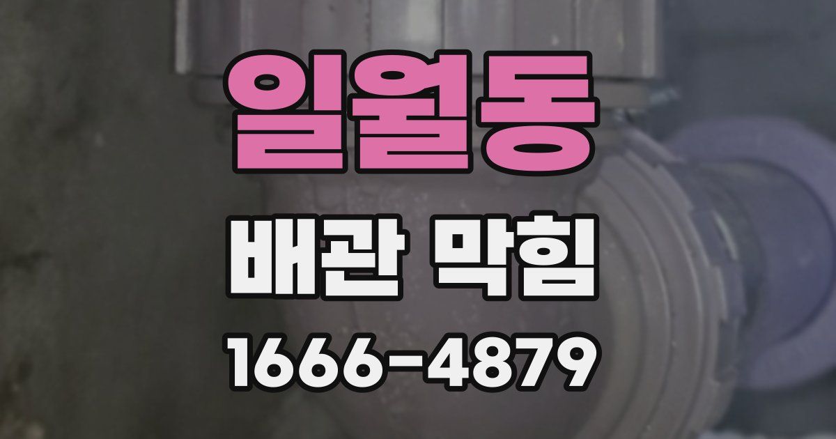 일월동 배관 막힘