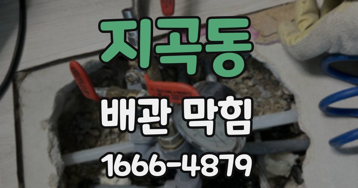 지곡동 배관 막힘