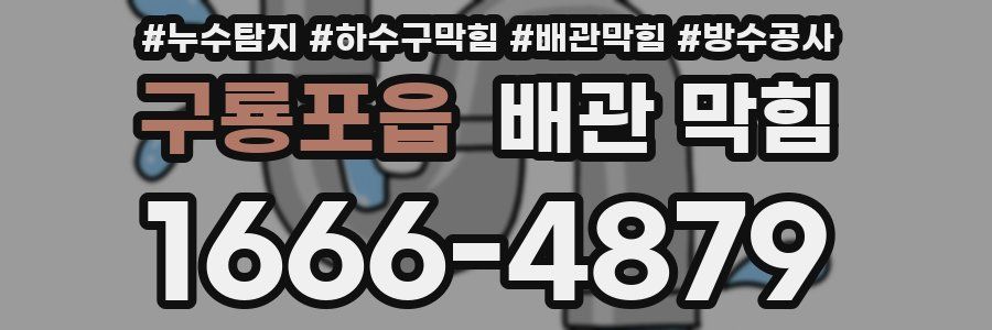 구룡포읍 배관 막힘