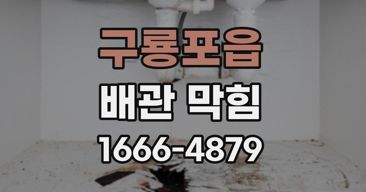 구룡포읍 배관 막힘