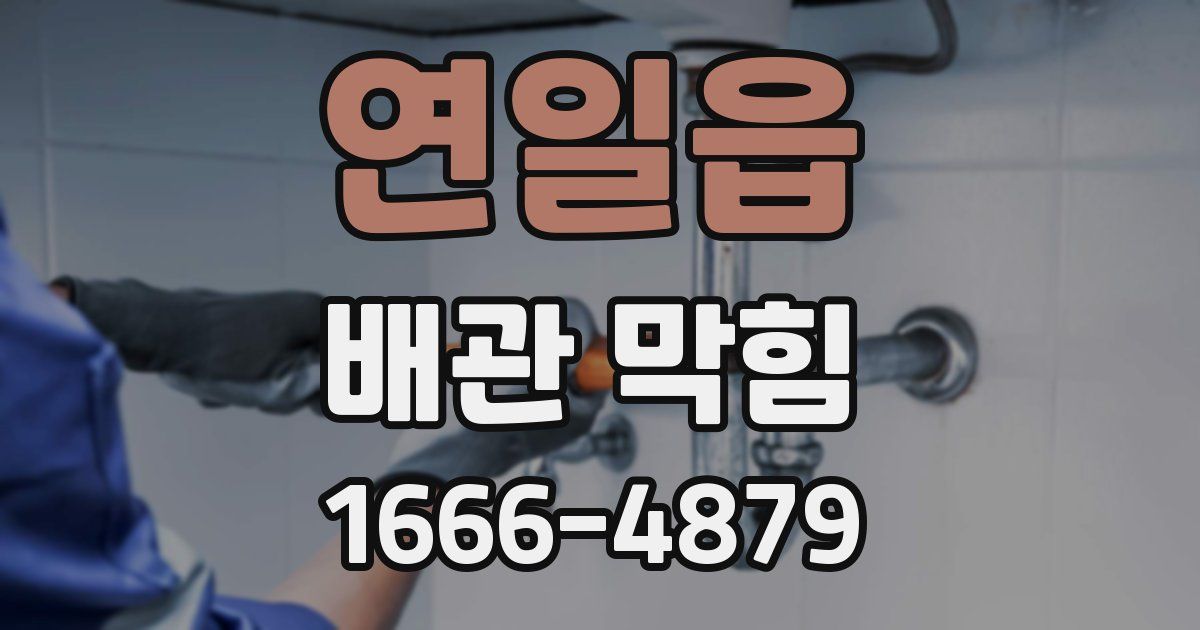 연일읍 배관 막힘