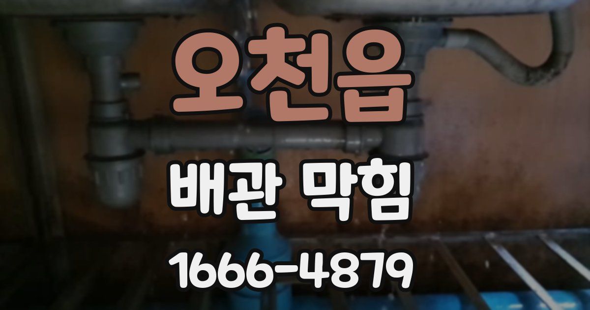 오천읍 배관 막힘