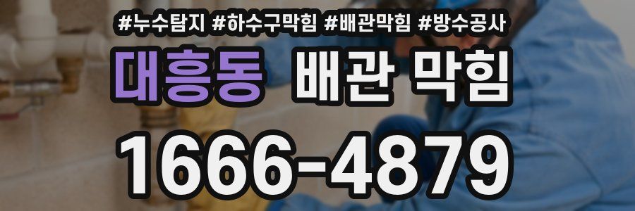 대흥동 배관 막힘