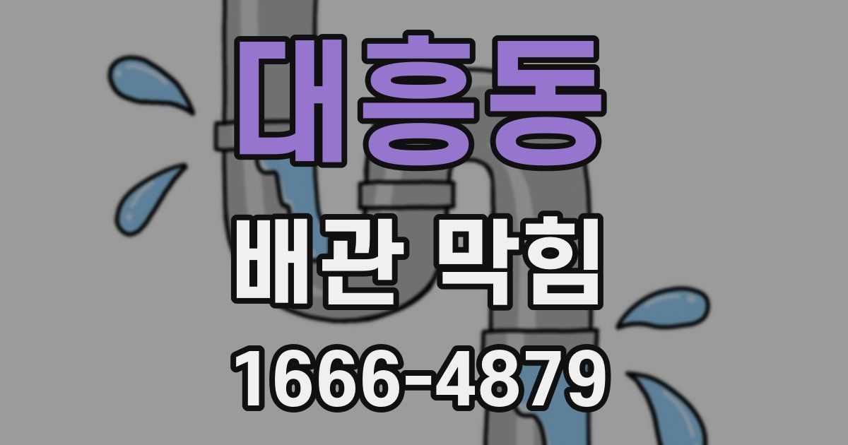 대흥동 배관 막힘