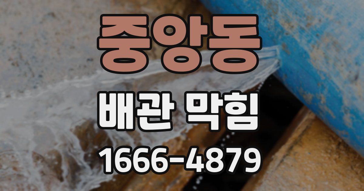 중앙동 배관 막힘