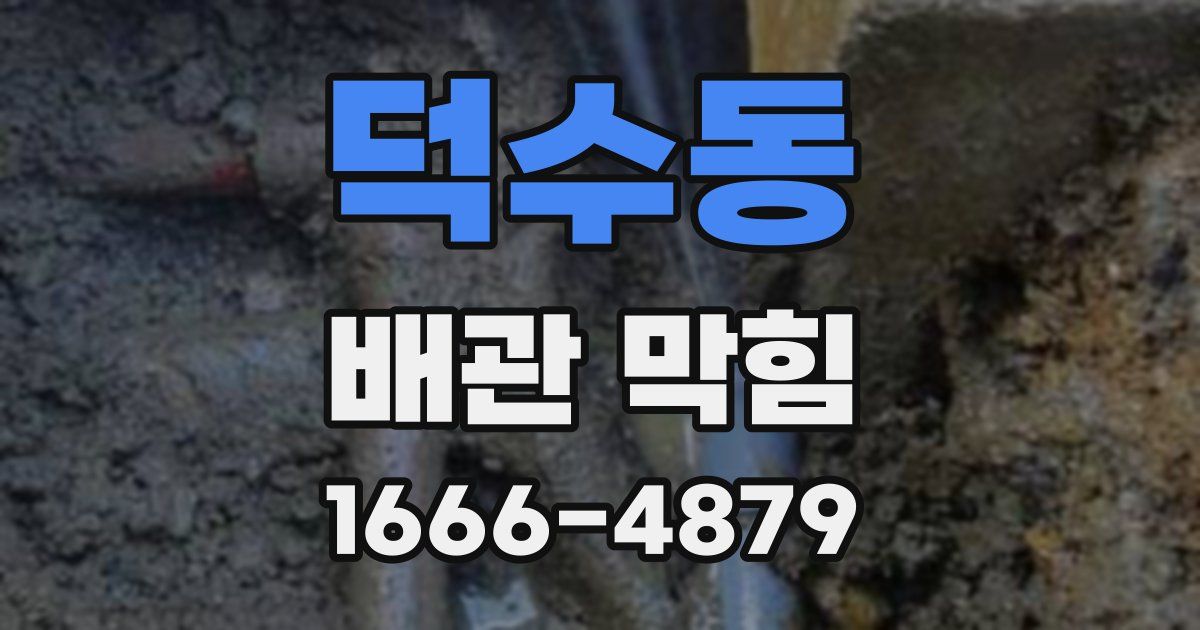 덕수동 배관 막힘
