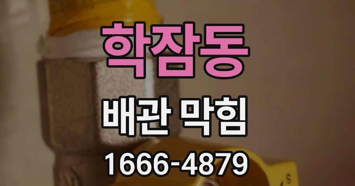 학잠동 배관 막힘