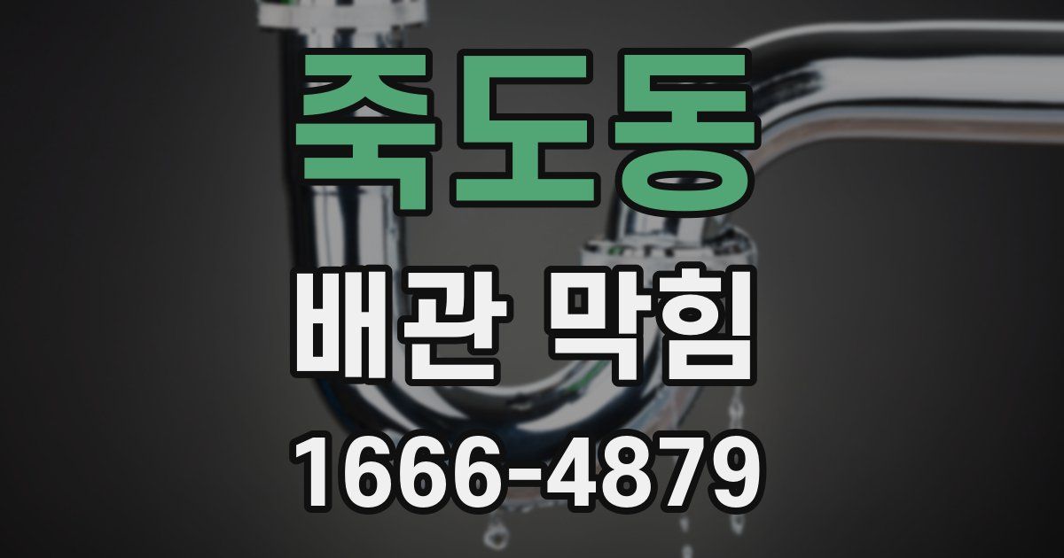 죽도동 배관 막힘