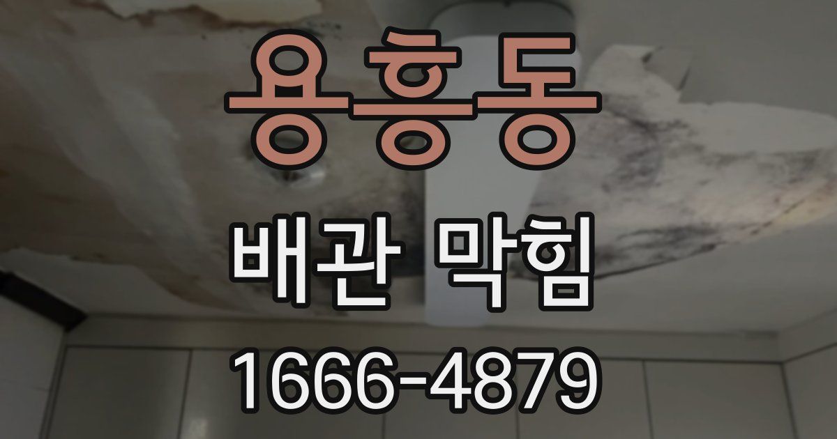 용흥동 배관 막힘