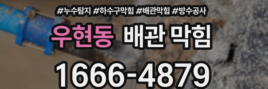 우현동 배관 막힘