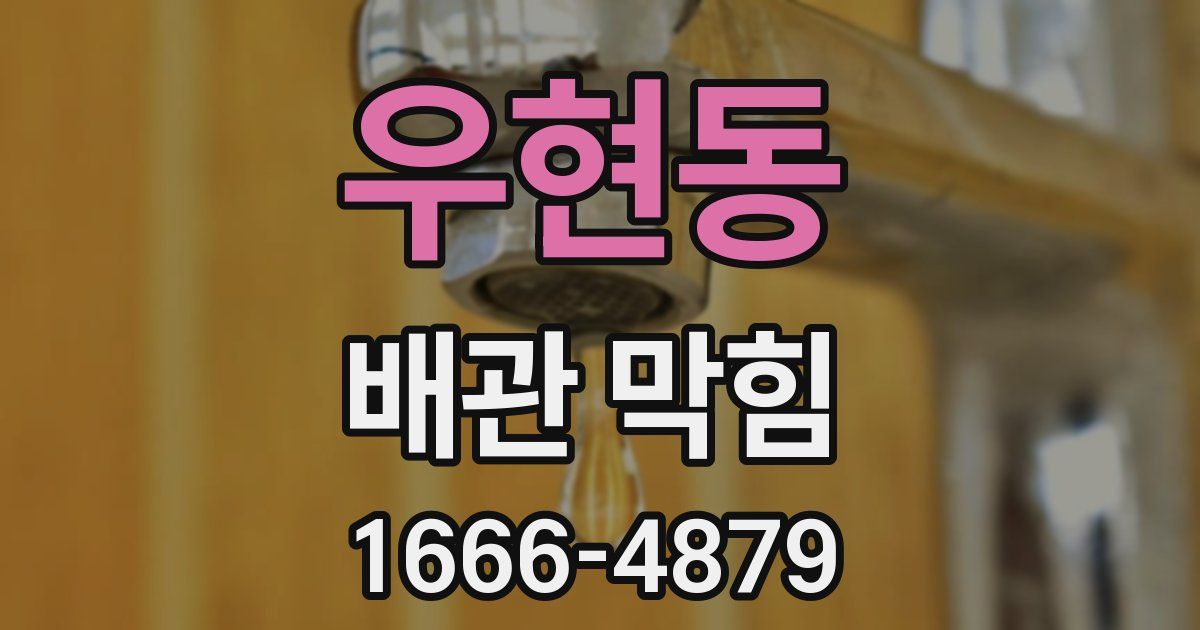 우현동 배관 막힘