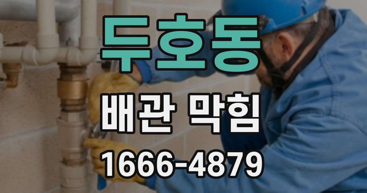 두호동 배관 막힘