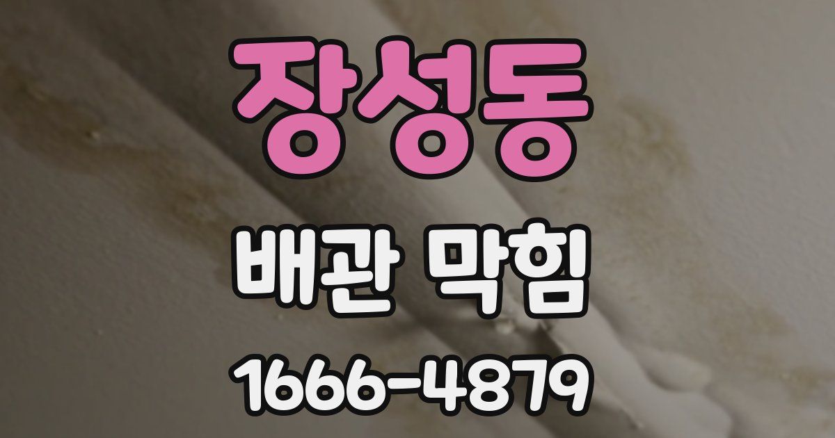 장성동 배관 막힘