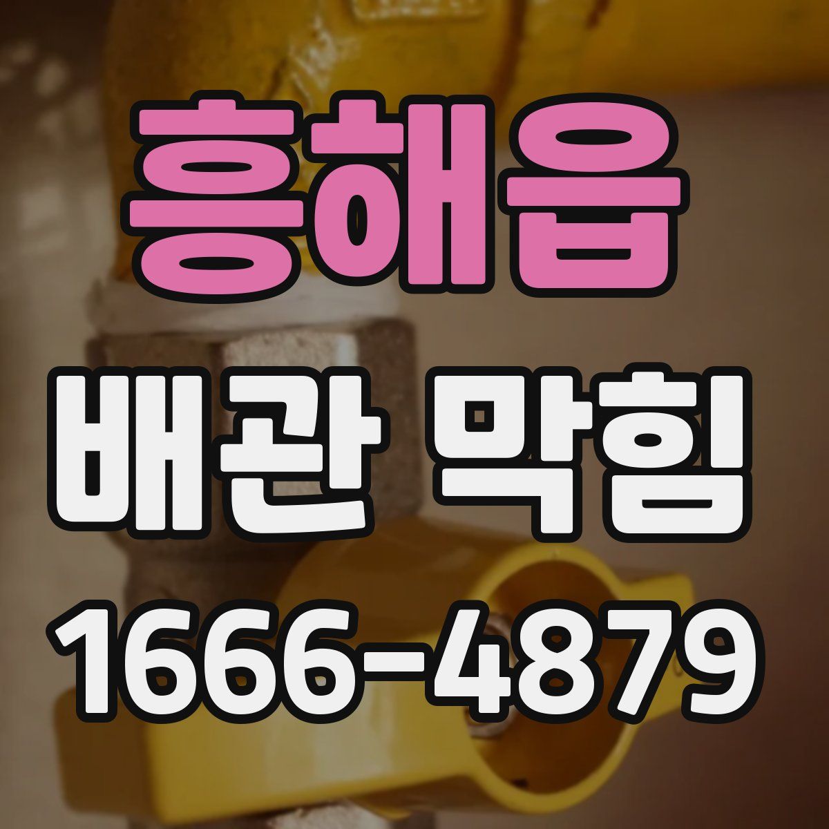 흥해읍 배관 막힘