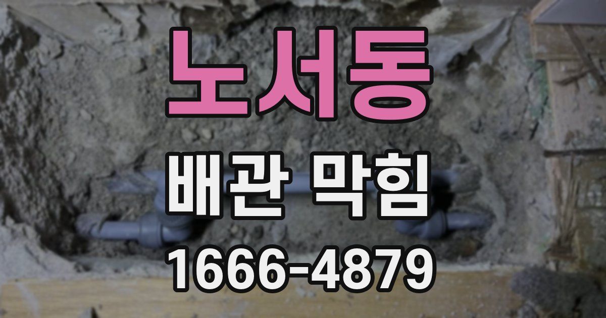 노서동 배관 막힘