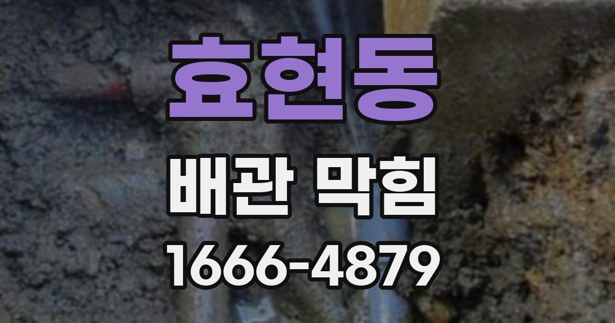 효현동 배관 막힘